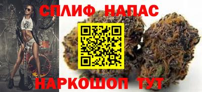 СК Тула
