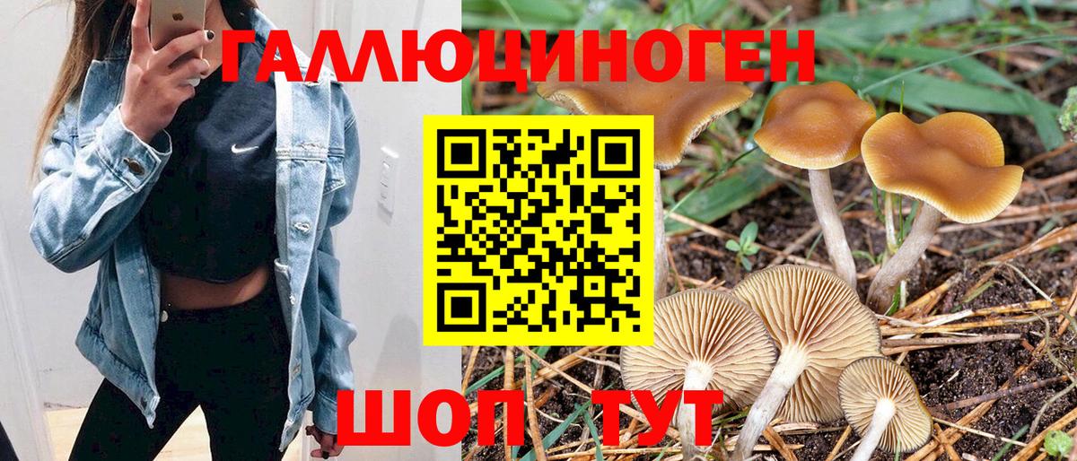 Владимир  цены наркотик  Вход с VPN  Галлюциногенные грибы MAGIC MUSHROOMS 