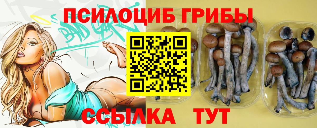 Псилоцибиновые грибы прущие грибы Владимир